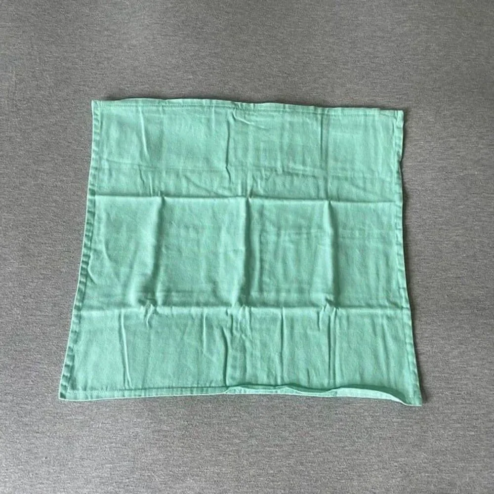 IKEA Gurli 20''x 20'' Pillow Case Cushion Cover Mint Green
